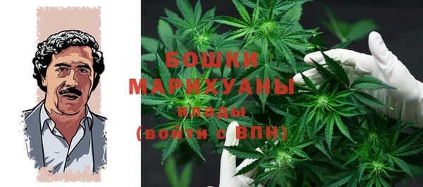 прущие крисы Алзамай