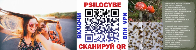 Купить закладки  Глазов  Псилоцибиновые грибы Psilocybine cubensis 